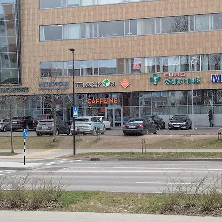 Light & Roomy With Separate Kitchen & Free Bike Appartement Vilnius