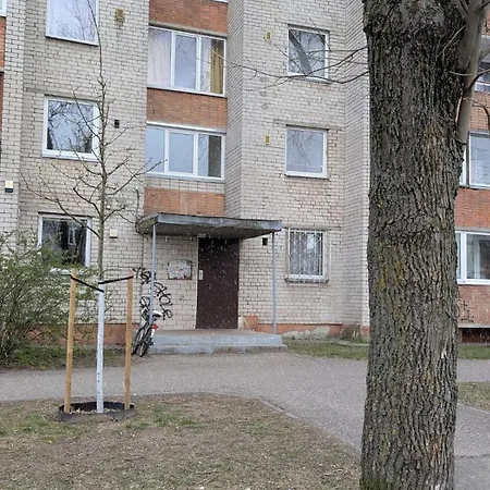 Light & Roomy With Separate Kitchen & Free Bike * Vilnius