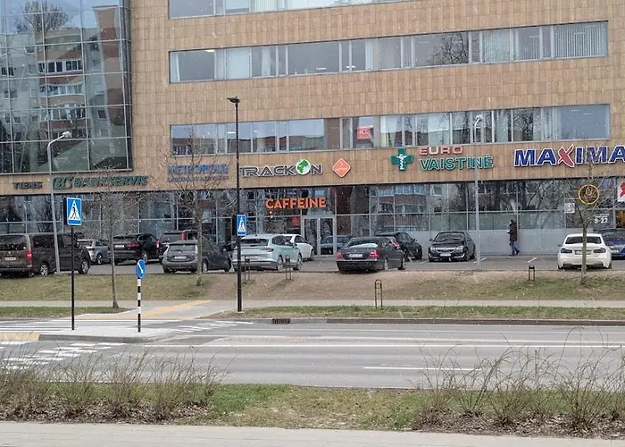 Whole With Bicycle Included Appartamento Vilnius