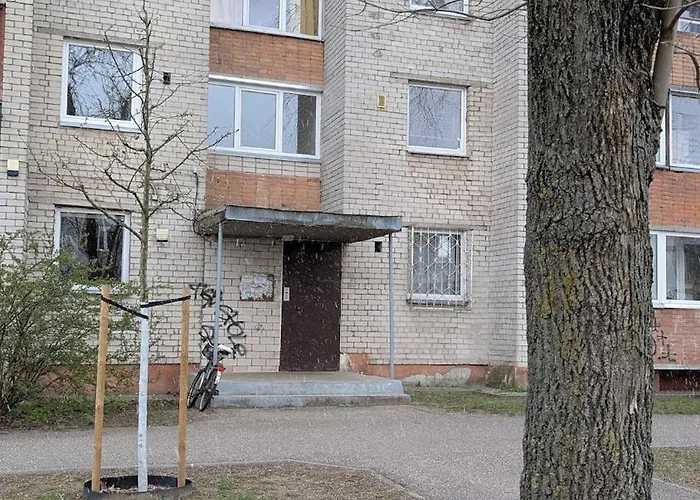 Whole With Bicycle Included * וילנה