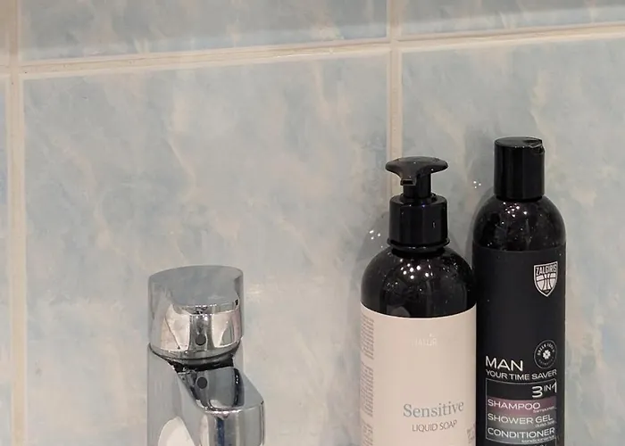 Whole With Bicycle Included * Vilnius